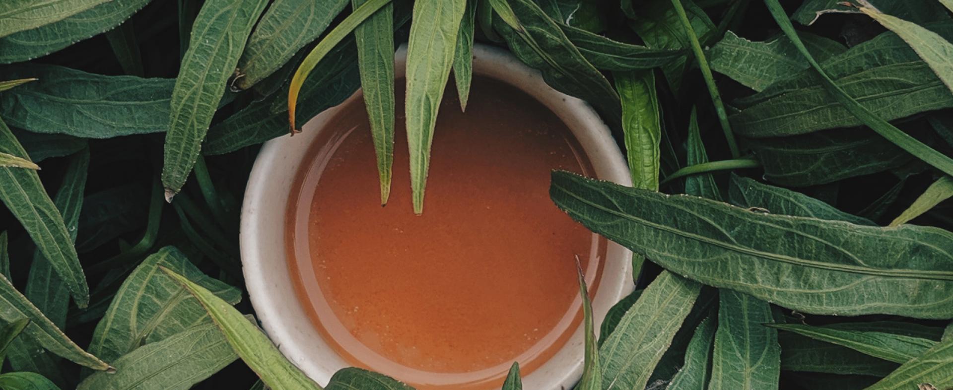 Tiyi tea Tiyi tea